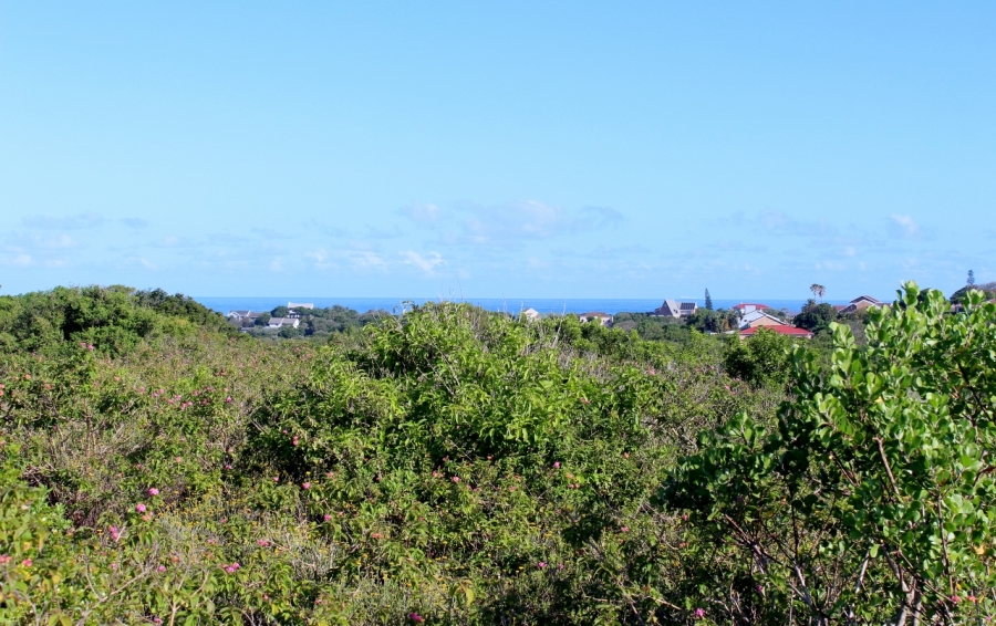 0 Bedroom Property for Sale in Forest Downs Eastern Cape